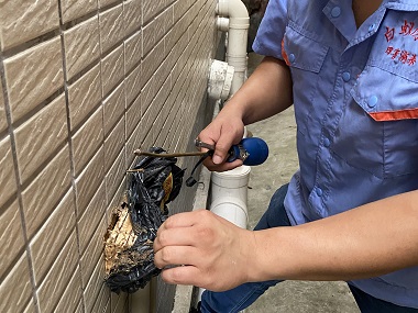 禅城验收蚁害中心房屋建筑灭治白蚁危害的措施