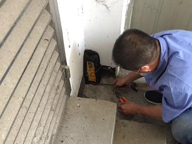 禅城白蚁防治所排查房屋建筑内白蚁巢的方法